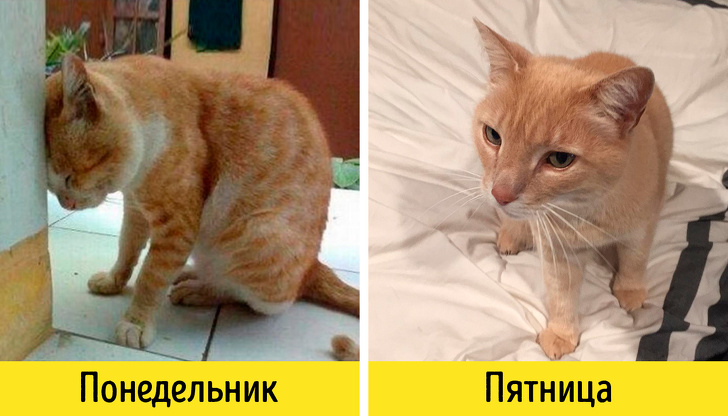 15 помилок 30-літніх, які можуть сильно ускладнити життя після 40, а то й раніше