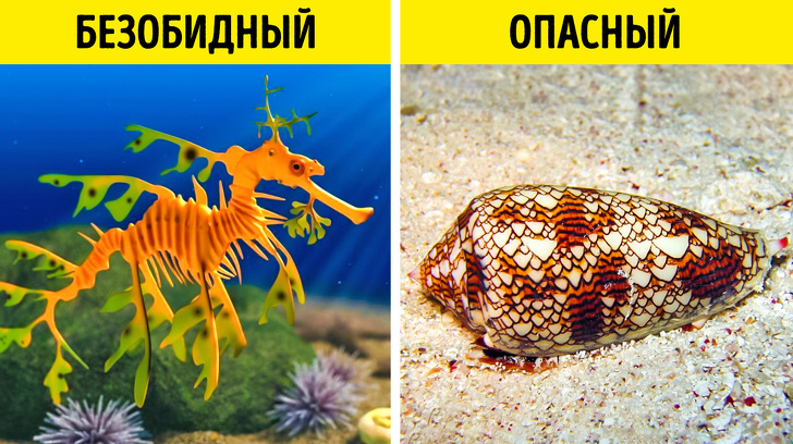 8 речей, які варто знати всім, хто не уявляє свого відпочинку без моря або басейну